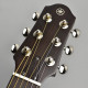 Yamaha SLG200S NT Steel String Silent Guitar with Hard Gig Bag